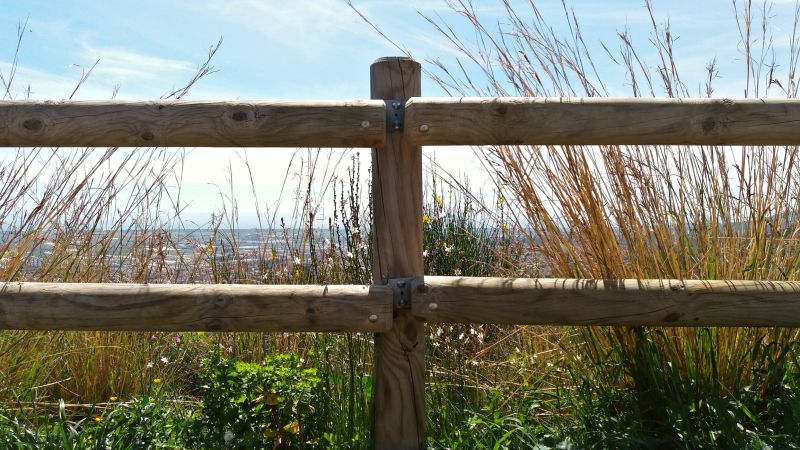 Fence Material Options